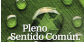 Pleno Sentido Común Oficina verde