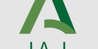 IAJ-Instituto-Andaluz-Juventud