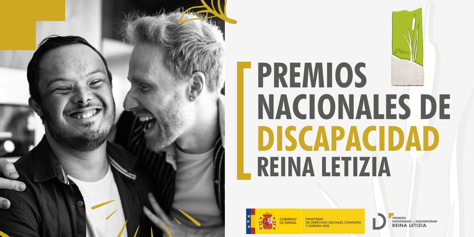 Cartel2026 Los Premios Nacionales de Discapacidad los otorga el Real Patronato sobre Discapacidad y sirven para reconocer el trabajo por la inclusión y la defensa de los derechos de las personas con discapacidad. Cada año los entrega personalmente Su Majestad la Reina como presidenta de honor.